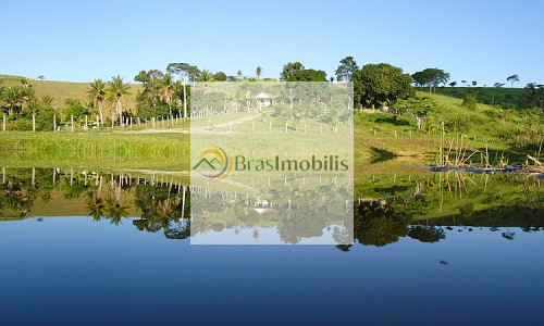 Oportunidade Imperdível! Imóvel com 3 residências no mesmo terreno – ideal para morar e investir!